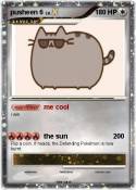 pusheen 6