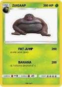 ZUIGAAP