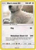 Max's nose GX