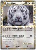 tigre blanc