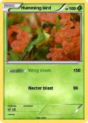 Humming bird
