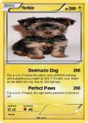Yorkie