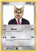 Cat!!!!!!