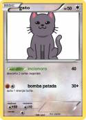 gato