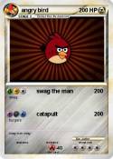 angry bird