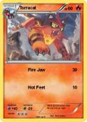 Torracat
