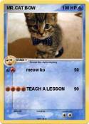 MR.CAT BOW