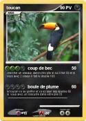 toucan