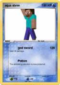 aqua steve