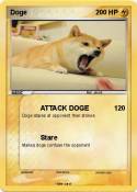 Doge