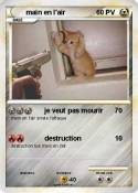 main en l'air