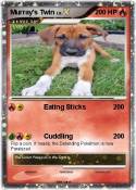 Murray's Twin
