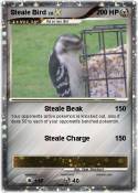 Steale Bird