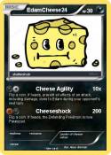 EdamCheese24