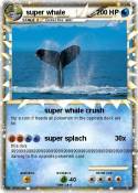 super whale