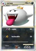 roi boo