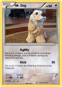 Mr. Dog