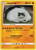 caseoh kat