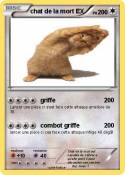 chat de la mort