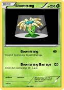 Bloomerang