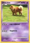 chow-chow
