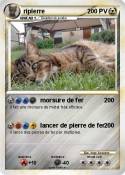 riplerre