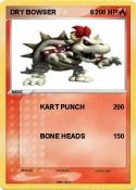 DRY BOWSER 6
