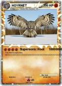 HOYRNET