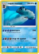 requin marteau