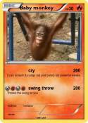 Baby monkey
