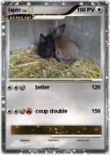 lapin
