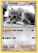 koda katt