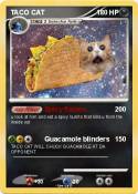 TACO CAT