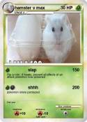 hamster v max