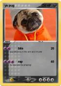 yo pug