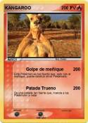 KANGAROO