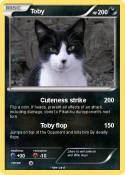 Toby