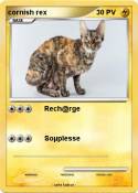 cornish rex