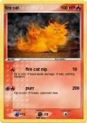 fire cat