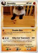 Bosskitty