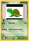 Turtle ton