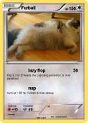 Furball