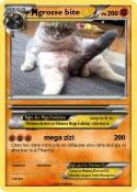 grosse bite