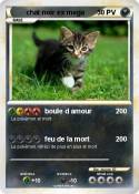 chat noir ex