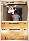Chien Volant