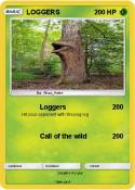 LOGGERS