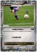 chatfootbien