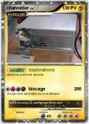 chatvoitier