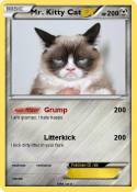 Mr. Kitty Cat