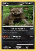 Wolf